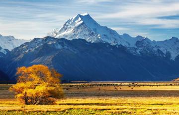 Mt Cook