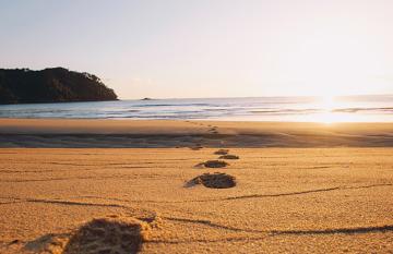 NZ Beach