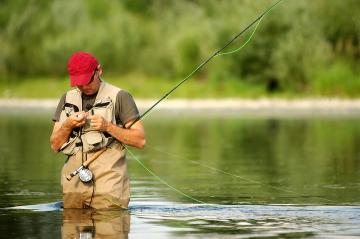 Fly Fishing NZ