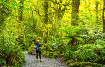 Fiordland Hiking