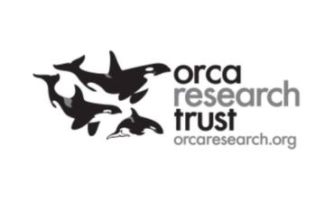 orca