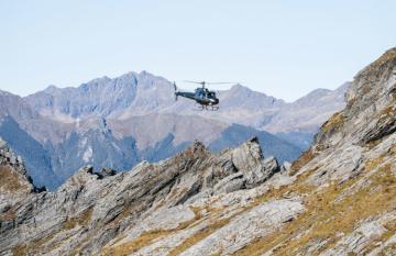 Nelson Helicopteres