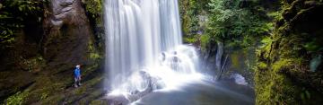 Beautiful Lake Waikaremoana Guided Walk