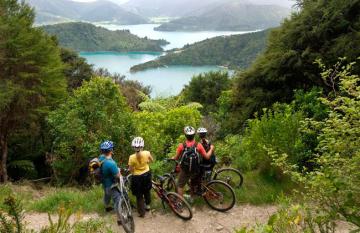 Mountain Biking the Queen Charlotte Track