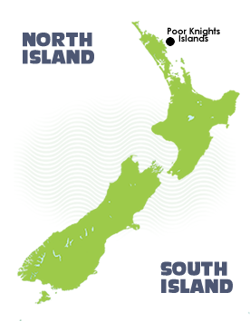 Map - Poor Knights and Northland Diving Liveaboard