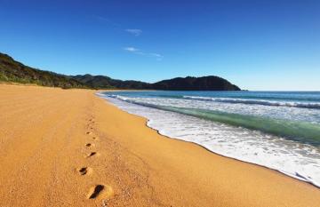 Foot Prints on Abel Tasman