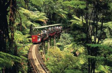 Driving Creek Railway Coromandel