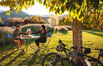 Marlborough Vineyard Cycle.