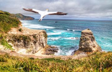Wild West Coast