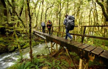 Milford Track Walk, Fiordland New Zealand