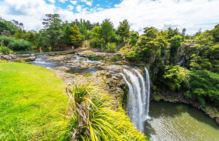 Whangarei Falls